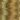 Medium Gold