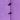 Light Violet