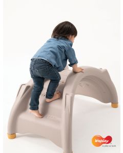 Weplay Rock and Climb Bridge
