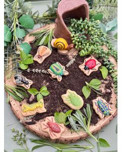 Yellow DOOR  Sensory Play Stones - Bugs