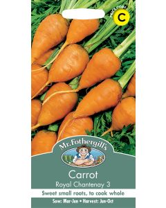 Gro Box Basil