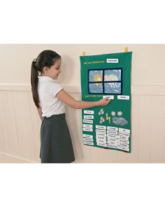 Weather Window
