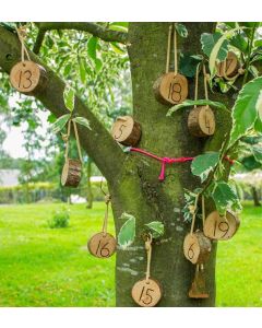 HANGING NUMBER COOKIES (20PK)