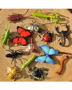 INSECTS (24PK)