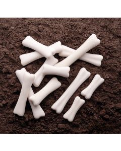 DINOSAUR BONES DISCOVER SET (12PK)