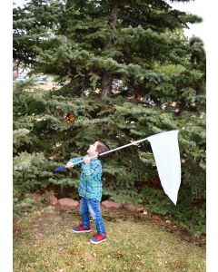 Telescopic Sweep Net