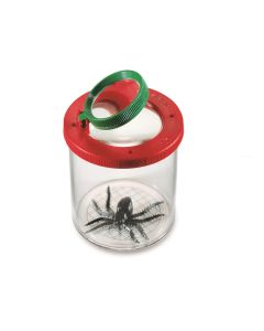 WORLDS BEST BUG BOX