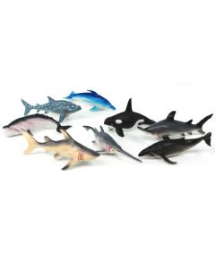 OCEAN WORLD (8PK)
