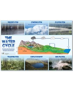 Water Cycle Poster