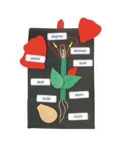 Plant In A Pocket - Wall Hanging 