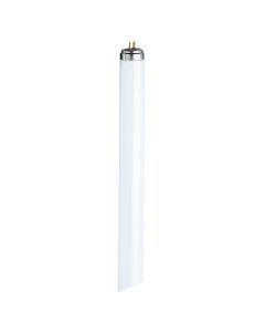 Triphosphor Tubes - 36W T8 - 1200mm