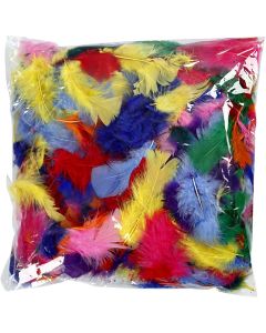 Coloured Feathers - 50g