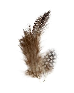 Speckled Feathers - 3g