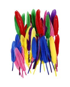 Coloured Feathers - 13cm - Pack of 48