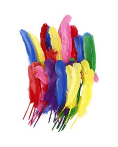 Coloured Feathers - 20cm - Pack of 36