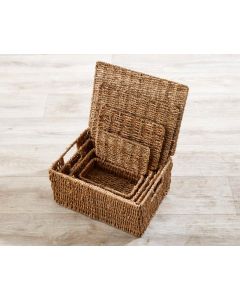 Storage Baskets with Lids 4Pk
