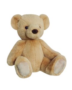 Eco Nation Teddy Bear