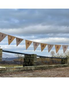 Natural Number Bunting