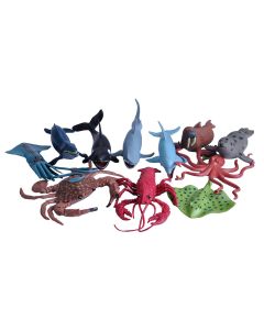 Sea and Ocean Set 11PK
