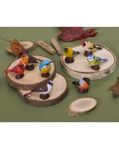 Small World Birds Set