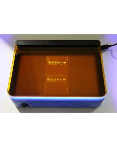 SYBR Safe Stain