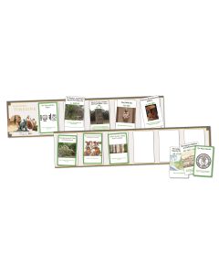 Maya Timeline
