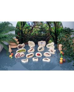 Wooden Minibeast Blocks
