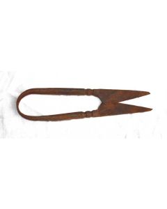 Iron Age Currency