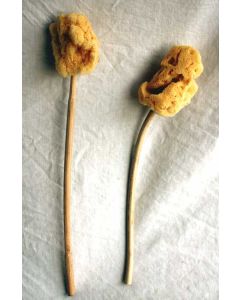 Sponge on Stick