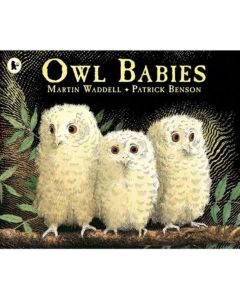 Book Life Accelerated Readers The Picture Book Collection