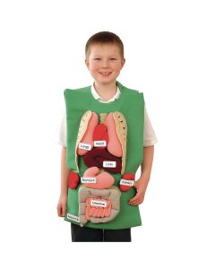 Organ Tunic
