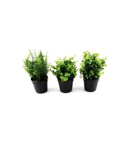 Artificial Potted Plants - Pack of 3