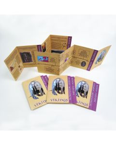 Vikings Desktop Zig-Zag 