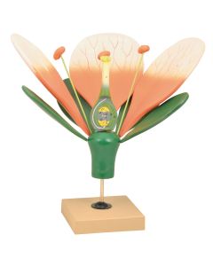 Giant Flower Model