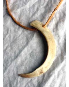 Boars Tusk Necklace
