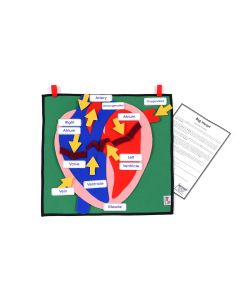 Big Heart - Interactive Display