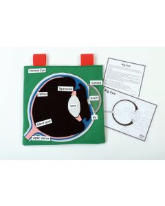 Big Eye - Interactive Display