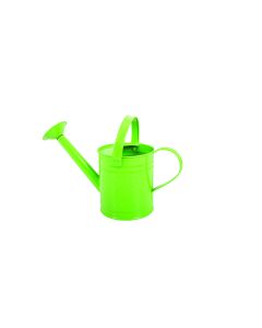 Metal Watering Can