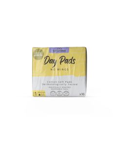 Care and Protect Regular No Wing Day Pad - Pack of 16