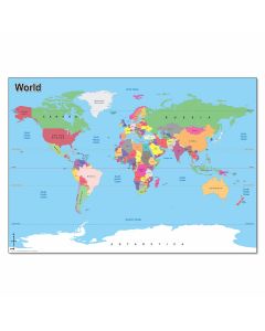Wildgoose Large Vinyl Map of the World