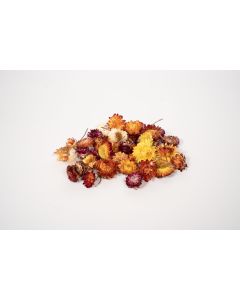 Rainbow Eco Play Dried Flower Heads Mixed Colours 75g