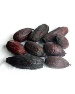 Cocoa Pods x 2