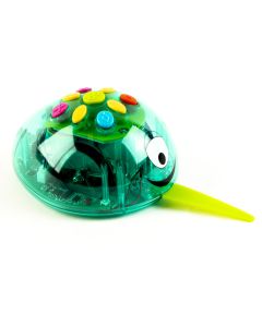 Earl V2 - Pack of 6