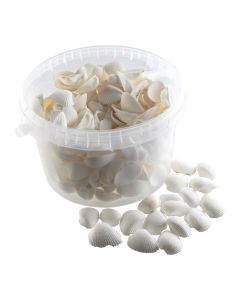 White Shells 2.5L Tub