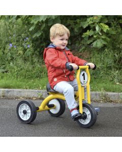 Wisdom Small Trike