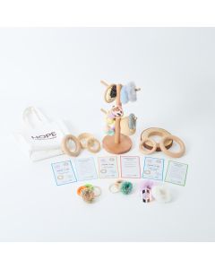 Alice Sharp Hook it up Fine Motor set 