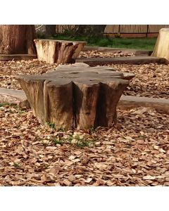 Outdoor Classrooms Climbing Stump