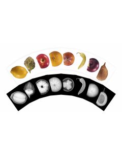 Plant X-Rays and Picture Cards