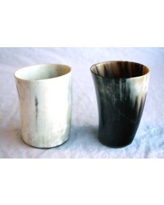 Horn Beaker