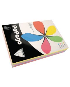 Papago Copier Paper A4 Assorted - Pack of 100